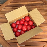 【訳あり】大玉トマトB級品（美味しさそのまま、形だけがB級）(2.3kg　バラ詰め（A級品と比べて3割引き）)