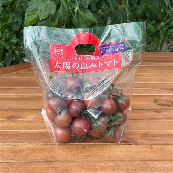 【希少品種】トスカーナバイオレット(500g)