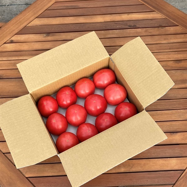 大玉トマトA級2.3kg　各種(AL 2.3kg（264g×9玉目安、排出口：4大）)