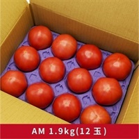 大玉トマトA級ギフト用 各種(ASM1.9kg(ﾑﾗｻｷﾄﾚｰ12玉))