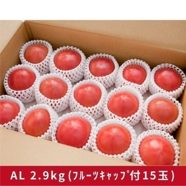 大玉トマトA級ギフト用 各種(AM2.9kg(ﾌﾙｰﾂｷｬｯﾌﾟ15玉)またはAMS18玉)