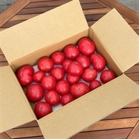 【訳あり】大玉トマトB級品（美味しさそのまま、形だけがB級）(3.8kg　バラ詰め（A級品より40％OFFでお買い得です）)