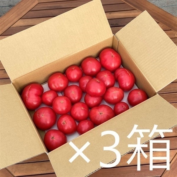 【訳あり】大玉トマトB級品（美味しさそのまま、形だけがB級）(3.8kg×3箱バラ詰め（A級品より40％OFFでお買い得）)