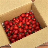 アイコ　できれば大き目（出来ない時はM希望）(1kg)