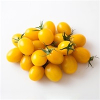 イエローアイコ　できれば小さめ（出来ない時はM希望）