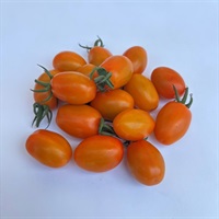 【希少品種】オレニー(200g)