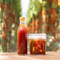 トマトピクルス液360ml(1本)